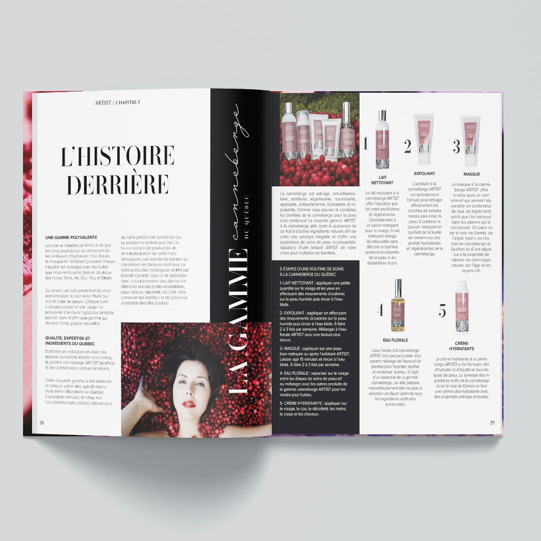Image Magazine ARTIST tome 2 ouvert 